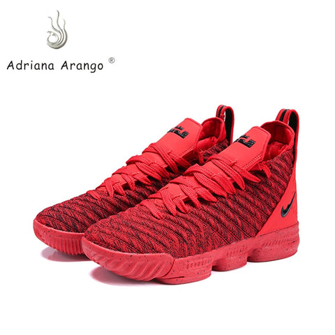 Adriana 2019 LBJ Basketball Shoes